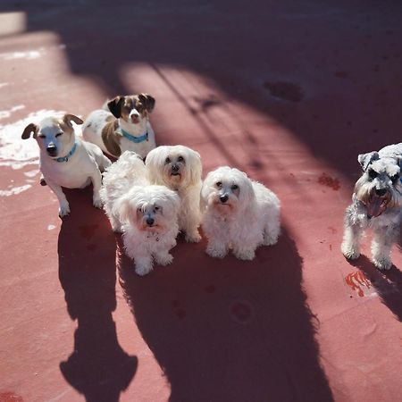 La Casa De La Abuela Rosy Apartment มาลากา ภายนอก รูปภาพ